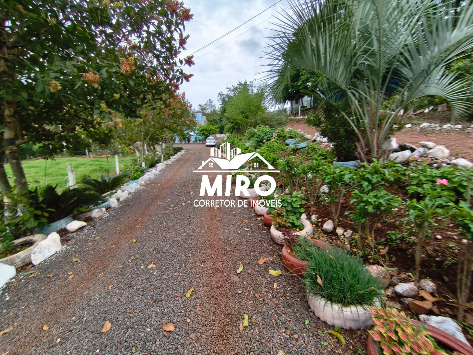 Imagem 3 de Chácara com Granja de Suínos à Venda em Missal PR